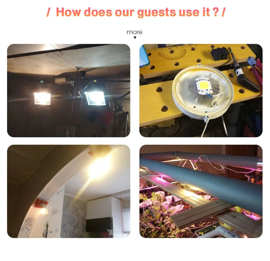 LEDCOB 5W Chip 50w led bulb High Power led 220v 10W 20W 30W light bulbs Lamp 220V LED matrix For Outdoor Indoor FloodLight White