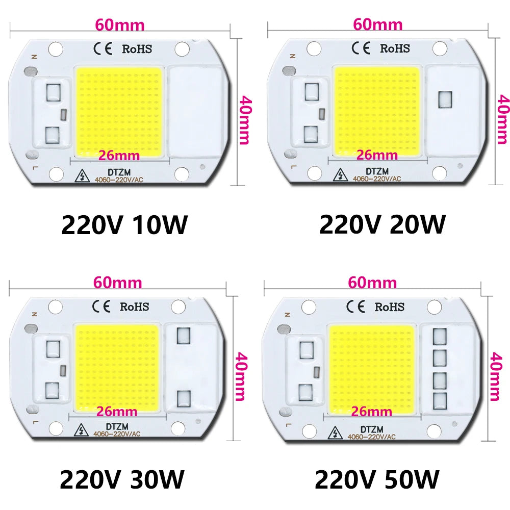 LEDCOB 5W Chip 50w led bulb High Power led 220v 10W 20W 30W light bulbs Lamp 220V LED matrix For Outdoor Indoor FloodLight White