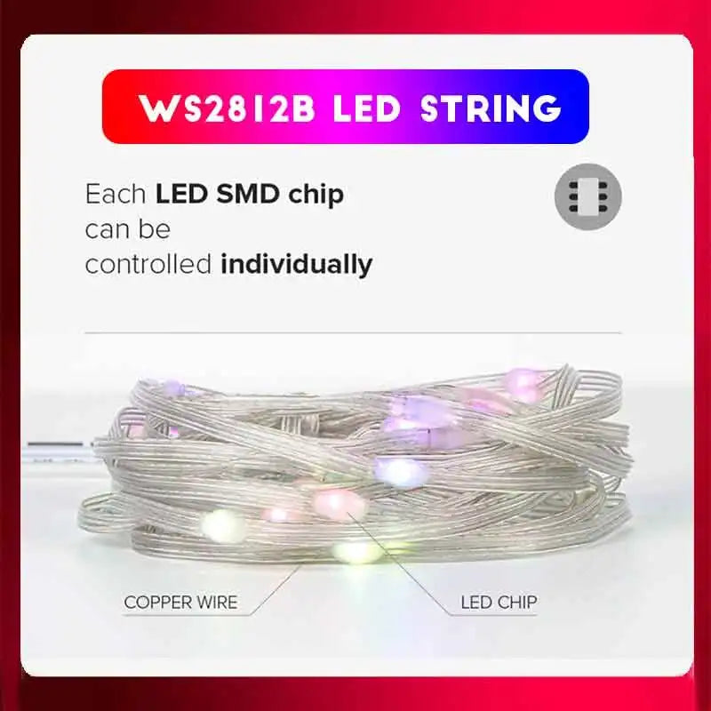 20M Dream Color USB 5V LED Sting Light Bluetooth Music APP RGBIC Addressable Fairy Lights Birthday Party Garland Christmas Decor