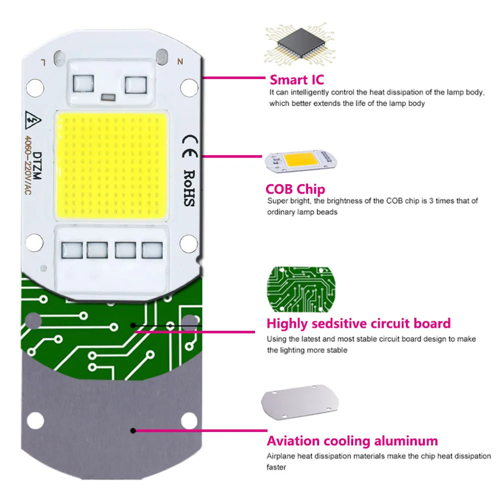 LEDCOB 5W Chip 50w led bulb High Power led 220v 10W 20W 30W light bulbs Lamp 220V LED matrix For Outdoor Indoor FloodLight White