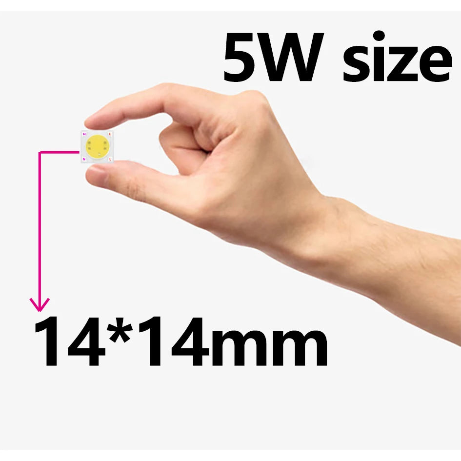 LEDCOB 5W Chip 50w led bulb High Power led 220v 10W 20W 30W light bulbs Lamp 220V LED matrix For Outdoor Indoor FloodLight White