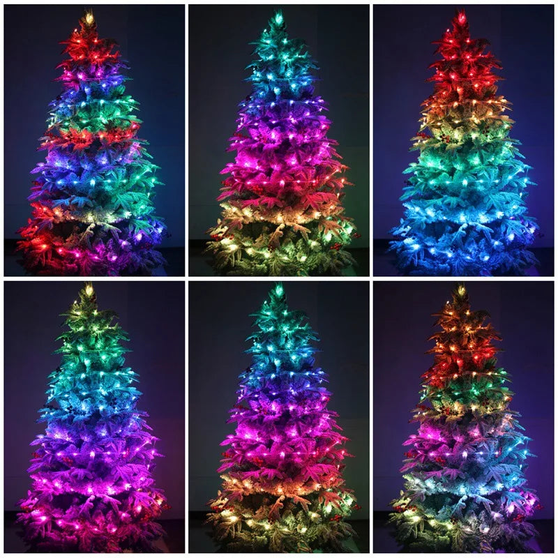 Dreamcolor RGBIC USB Sting Light Bluetooth APP DIY LED Fairy Lights Garland Decoration for Christmas Tree Wedding Birthday Party